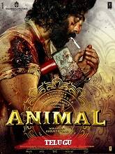 Animal Movie download IBOMMA,