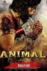 Animal Movie download IBOMMA,